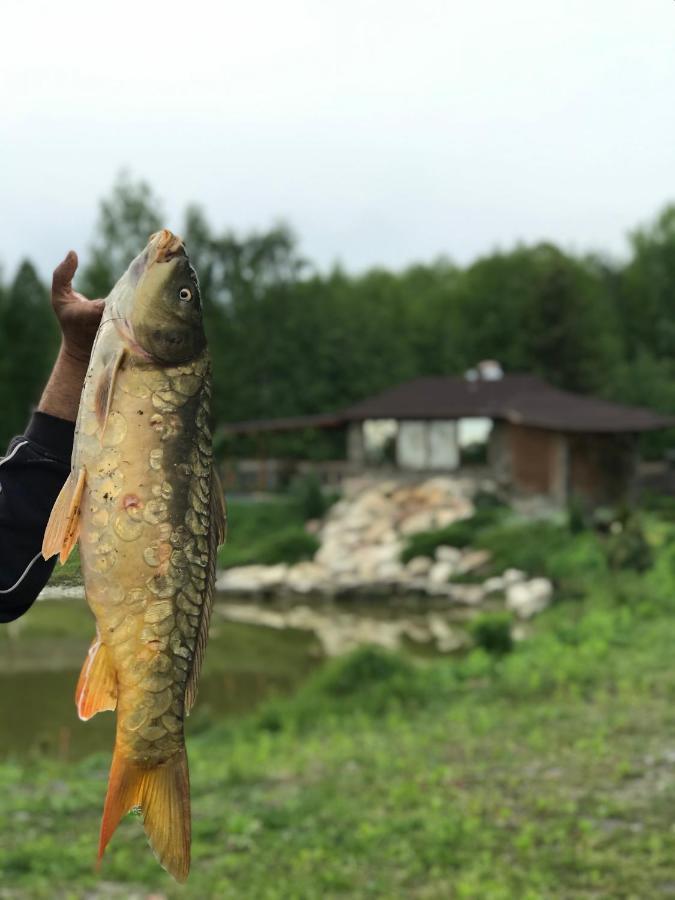 Диброва Dibrova  Exteriör bild