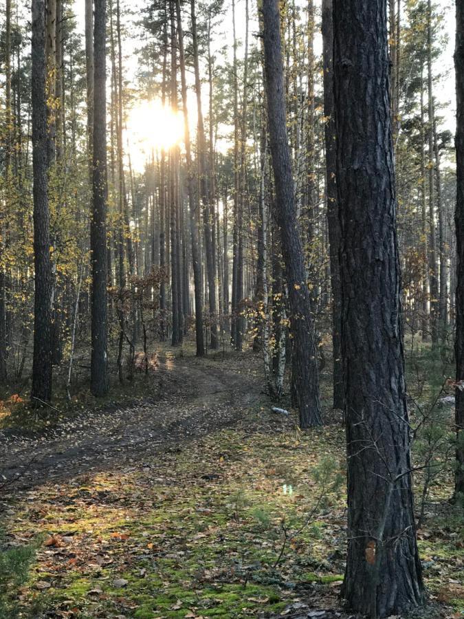 Диброва Dibrova  Exteriör bild